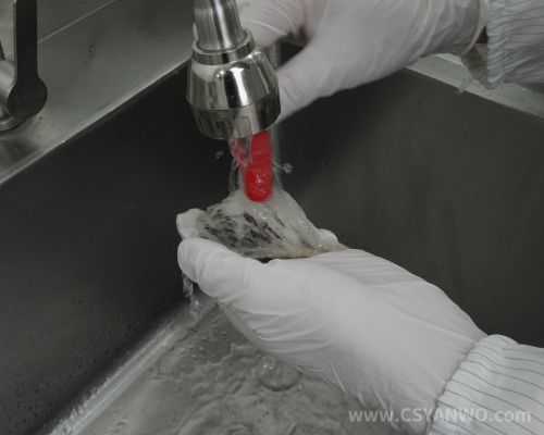 RO纯水清洗燕窝