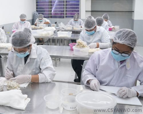 燕窝加工厂-逸展燕窝