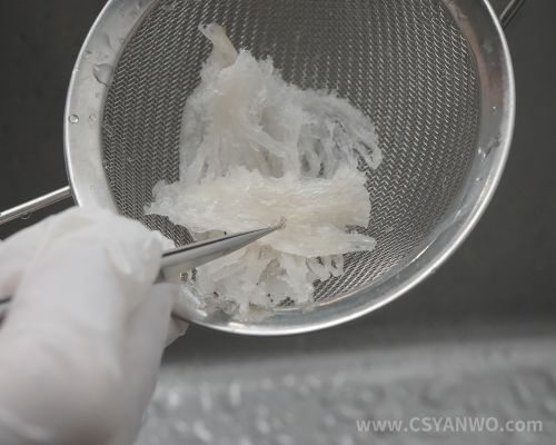 溯源码燕窝用镊子夹掉杂质