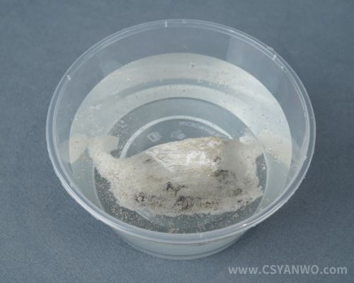 燕窝浸在药水里